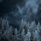 com.andromo.dev230101.app308284