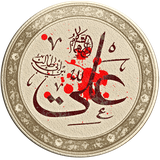 ir.shina.emamali