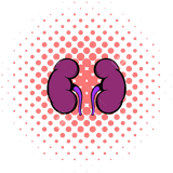 ir.a.b.dd.kolliye.smt