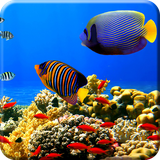 com.wallpaper.zhilin.UnderwaterWorld