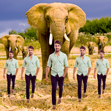 com.appwallet.echoanimal