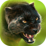 com.swiftappskom.pantheronline