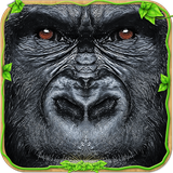 com.mas3dstudio.ultimate.gorilla