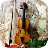 ir.tinasoft.violin_at_home