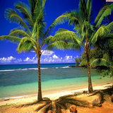 com.taraki.hdnaturewallpaper