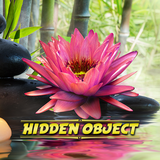 air.com.dg.differencegames.hiddenobject.stateofzen