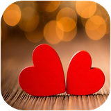 didar.aeshgh
