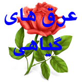 agiyahi.agiyahi29