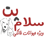 ir.divarpet.application