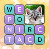 com.akiwy.wordsearchpictures