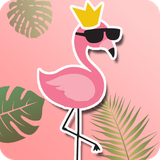 com.flamingo.cute.kawaii.summer