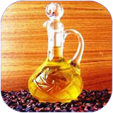 ghotbi.etelaatidarrabetebapalm