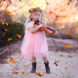revenge.livewp.violin