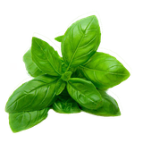 ir.aminb.giyahandarooei