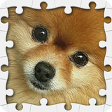com.HonorUMinistry.PuzzleInfinity.Puppies