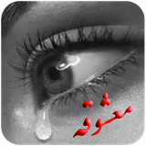 com.keyvan.mashoghe