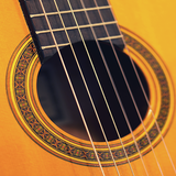 kity.learn.real.guitar
