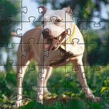 com.jigsaw.puzzle.games.PitbullDogsJigsawPuzzles