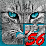 com.sbitsoft.cats