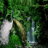 com.livewallpaper.tavoos.baransoft