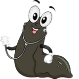 com.zaloo.leech