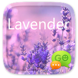 com.jb.gosms.theme.getjar.fdlavendernew