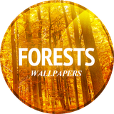 com.david_wallpapers.forest