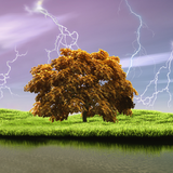 com.blackbirdwallpapers.springstorm