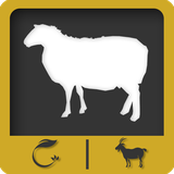 sheep.chaparel.ir