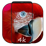 com.khamarnache.parrotwallpaper.offline