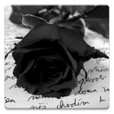 com.sbardyuk.gothicphotos