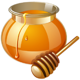 ir.sadra.honey