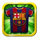 com.gau.go.launcherex.theme.com.soroush.barsa