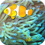 com.studyforfun.biology