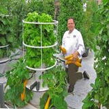 ir.toled.va.parvaresh.anvae.sabze.d