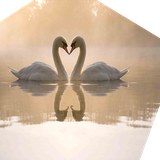 com.JavanApp.photogho