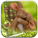 com.artistic.launcher.rabbit.love.theme
