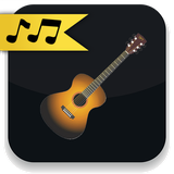 com.musicalinstruments.guitar.lessons