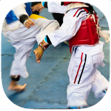 com.Digital.Sports.Group.Taekwondo.Moves.Techniques