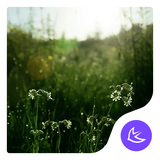 com.apusapps.theme.i_morning_sunlight_d7936d0eaa