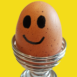 org.reallysimpleapps.eggtimer