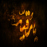ir.ddr.roghaeh