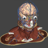 co.com.numerica.biotk001