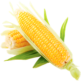 com.recipedroid.corn