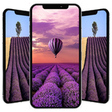 com.newandromo.dev25102.app640043