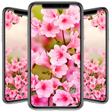 com.andromo.dev680484.app753993