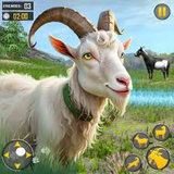 asrejadid.game.boz