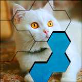 com.xfungame.hexa.jigsaw