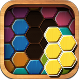 com.PPGames.woodblockpuzzlehexa_g