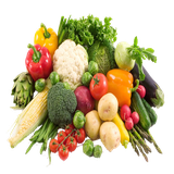 bengamin.taqziesalem